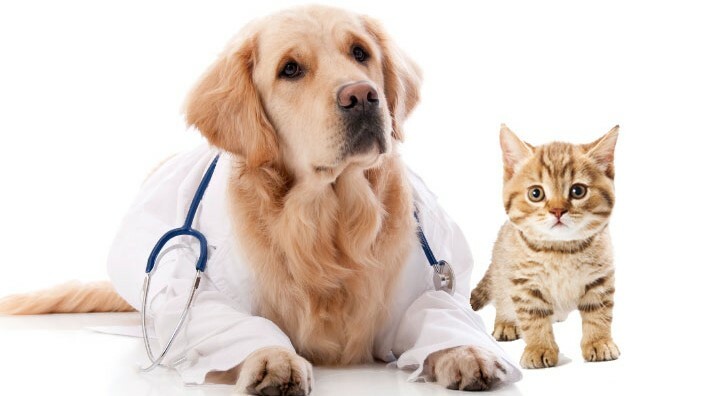 Animal Health Industry1