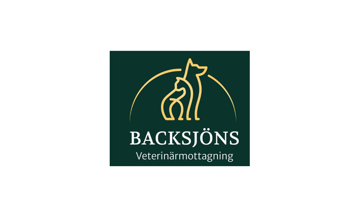 Backsjöns