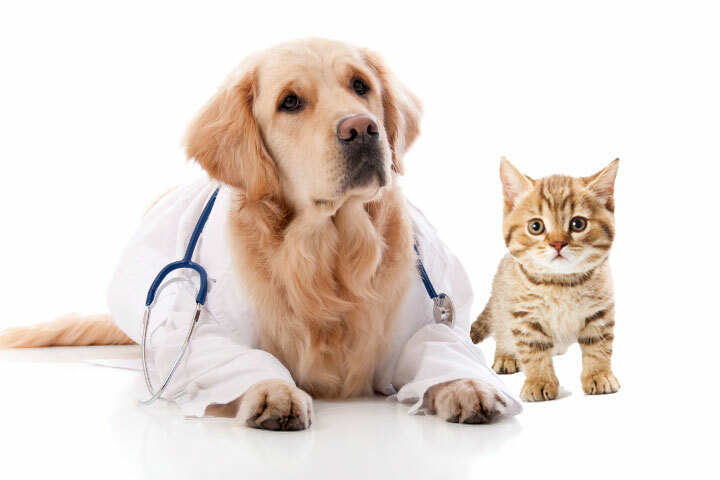 Animal Health Industry1